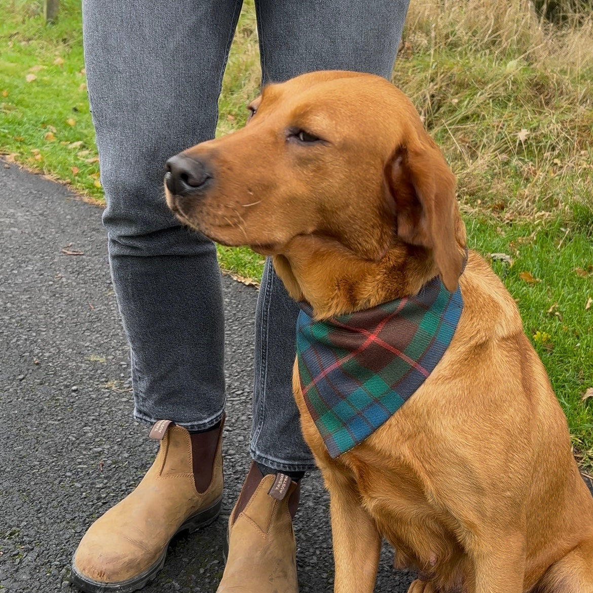 Fraser hunting Dog Bandana