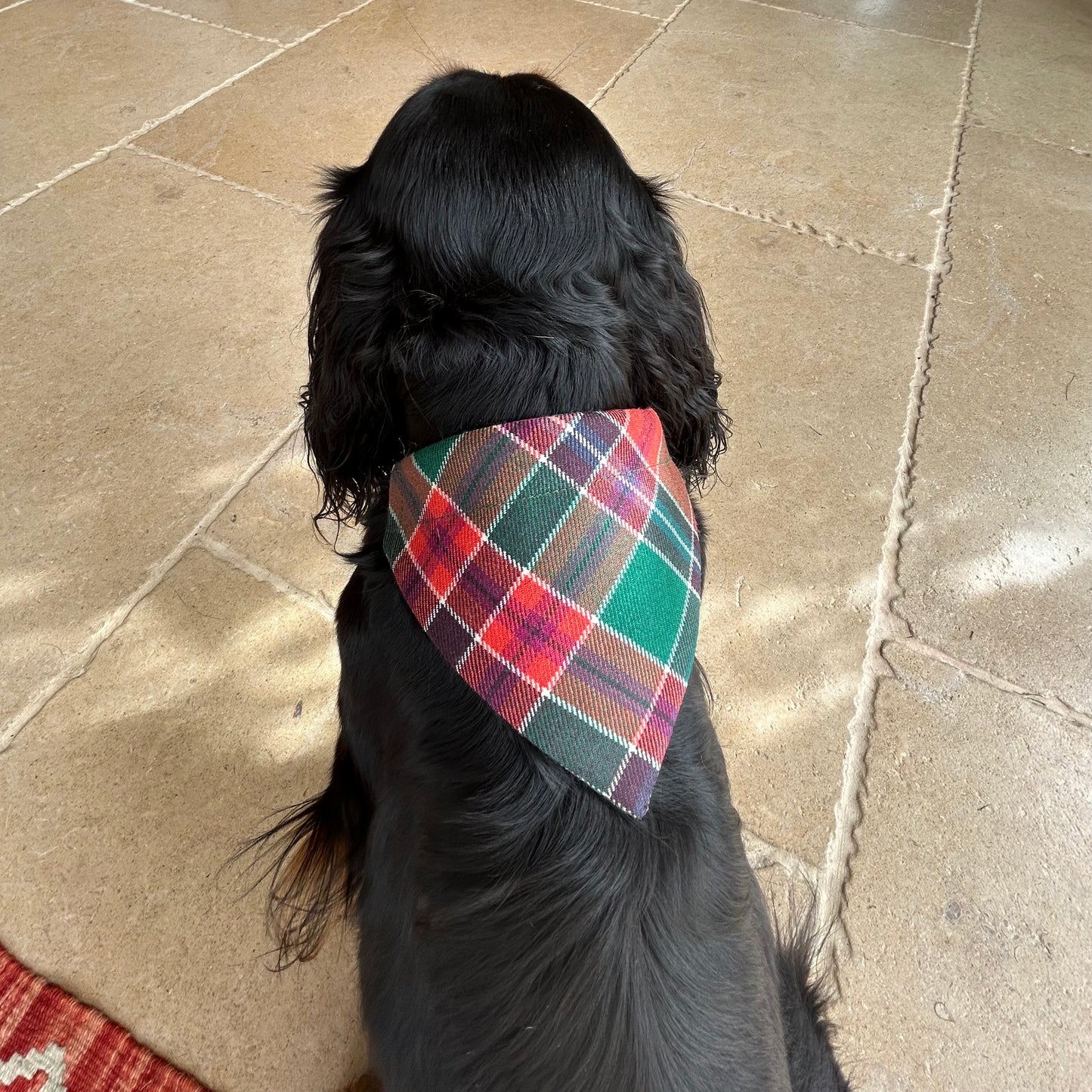 Birrell Tartan Dog bandana