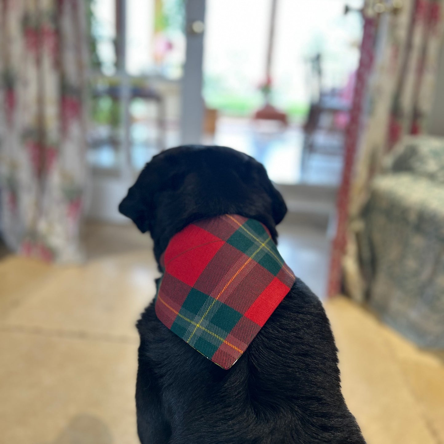 MacLaine Tartan Dog Bandana