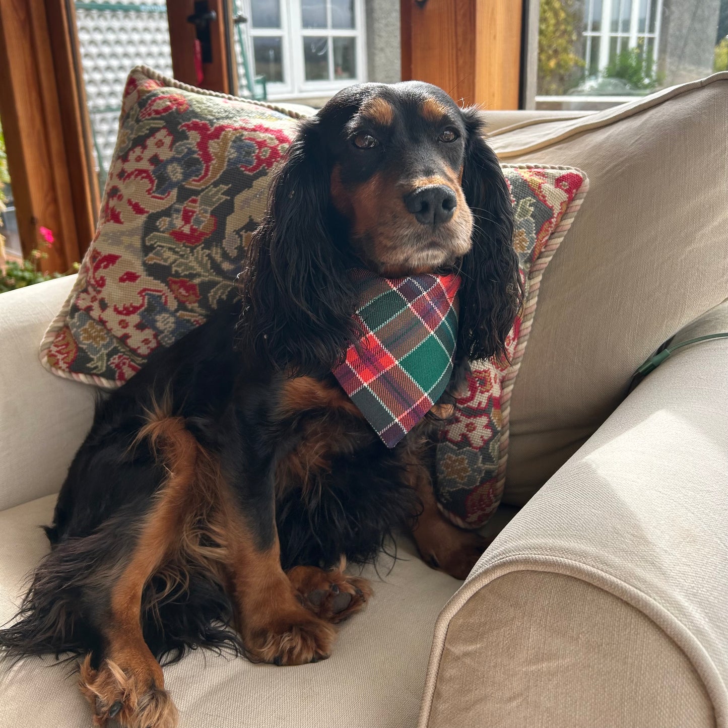 Birrell Tartan Dog bandana