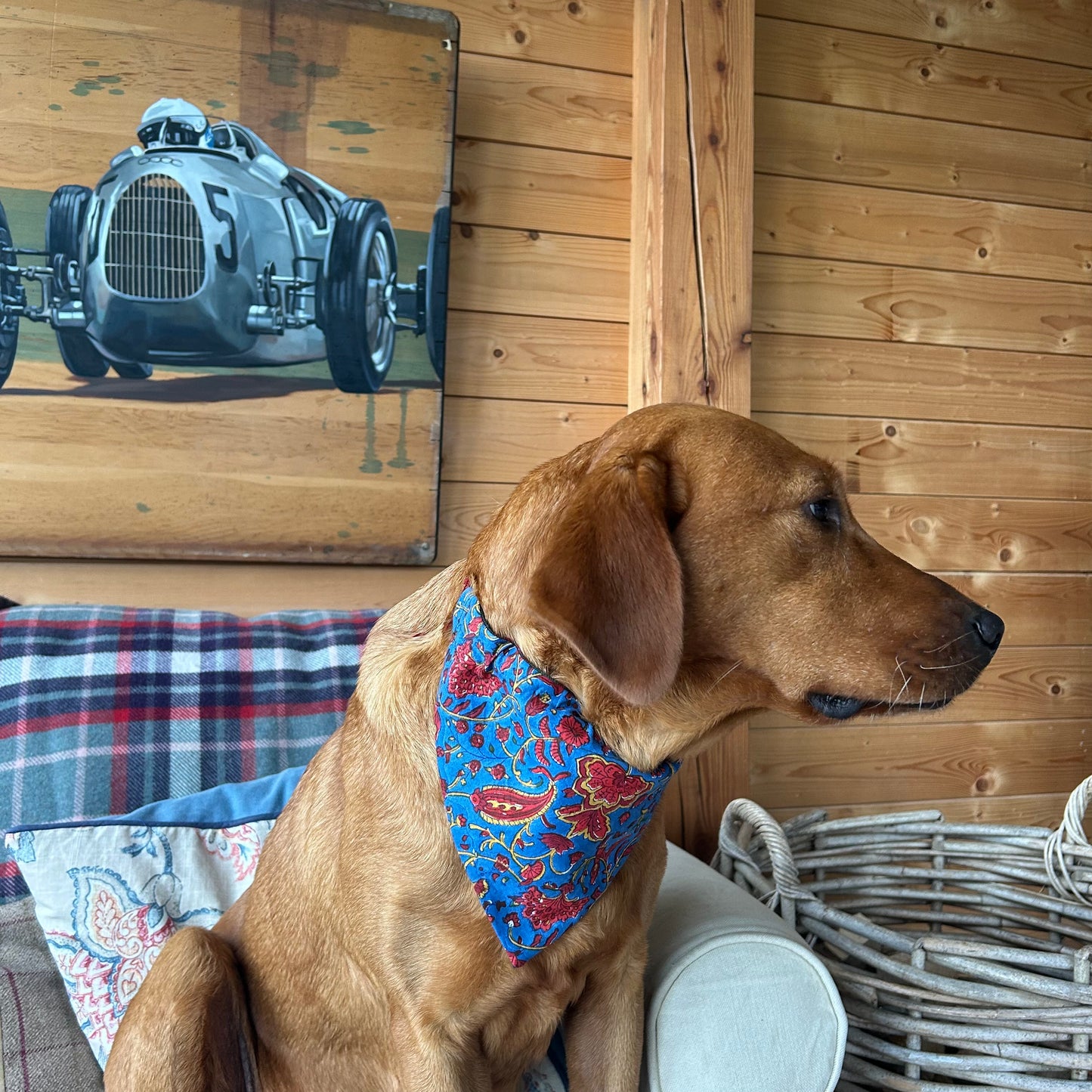 MacIntyre of Glenorchy Dog Bandana