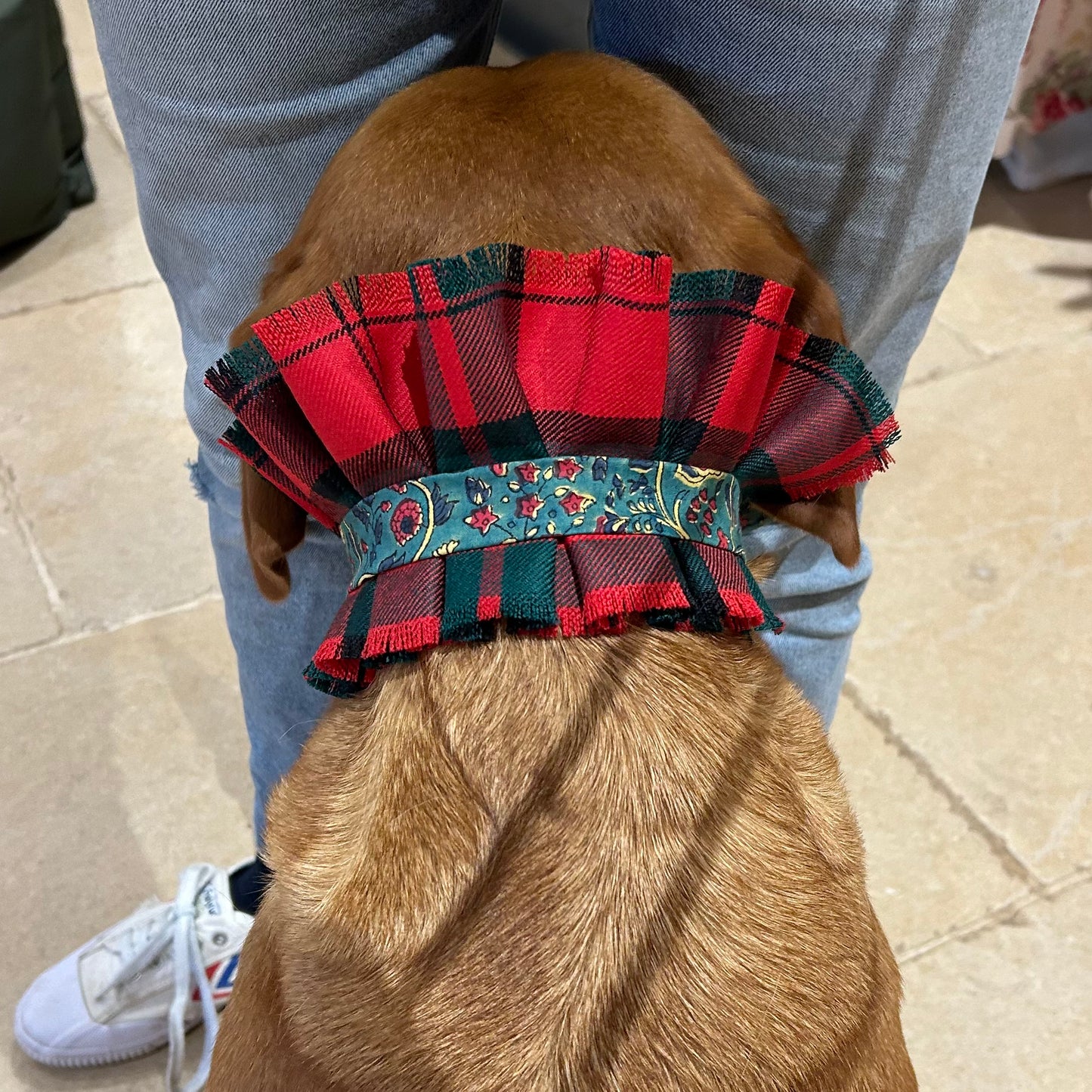 Dog collar - Dunbar tartan