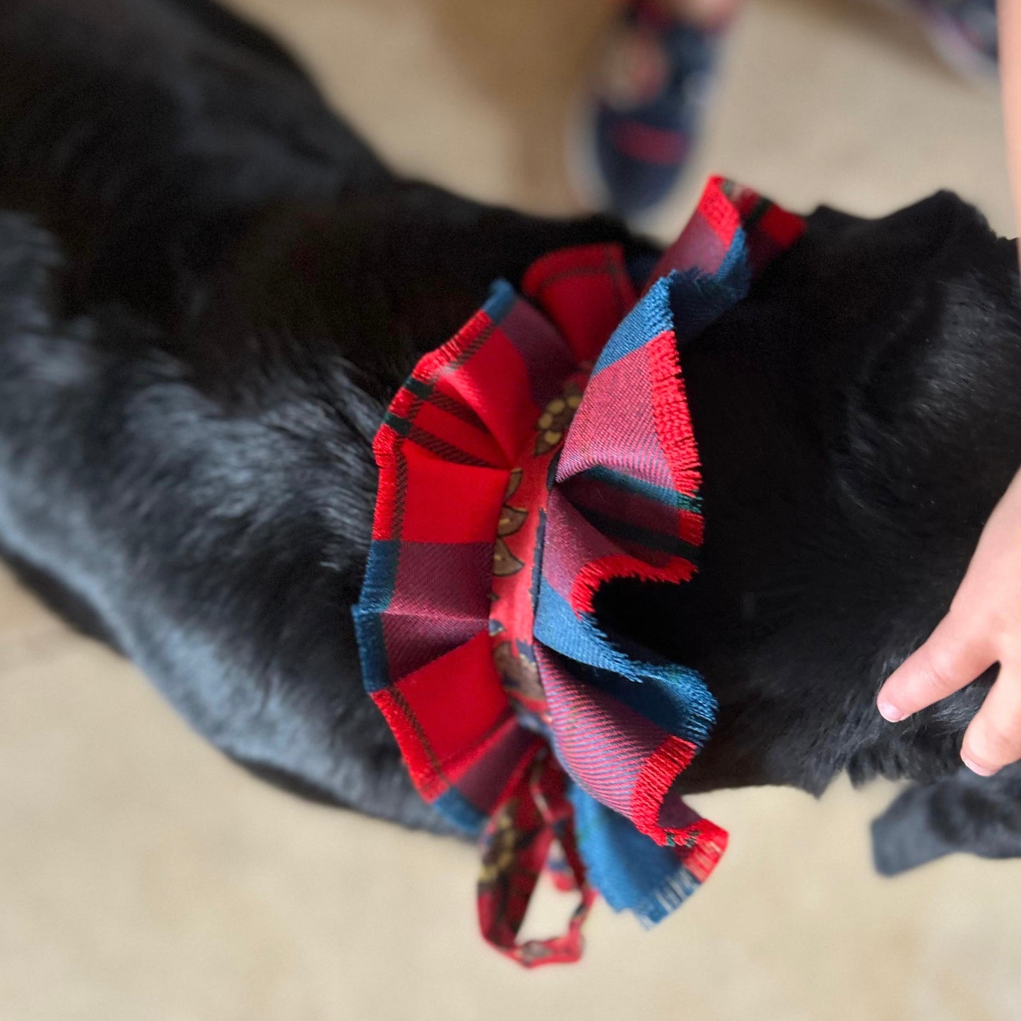 Dog collar - Wotherspoon tartan