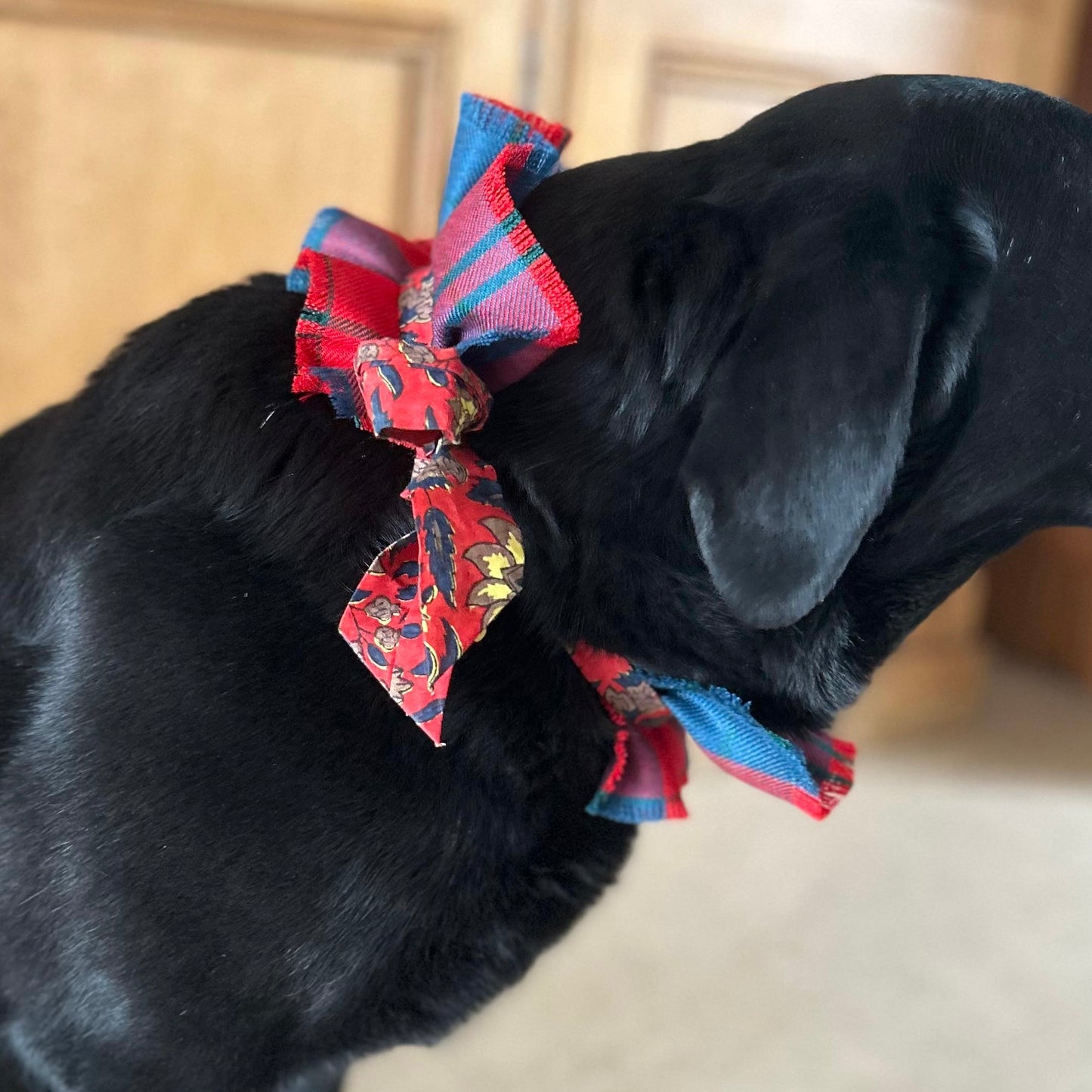 Dog collar - Wotherspoon tartan