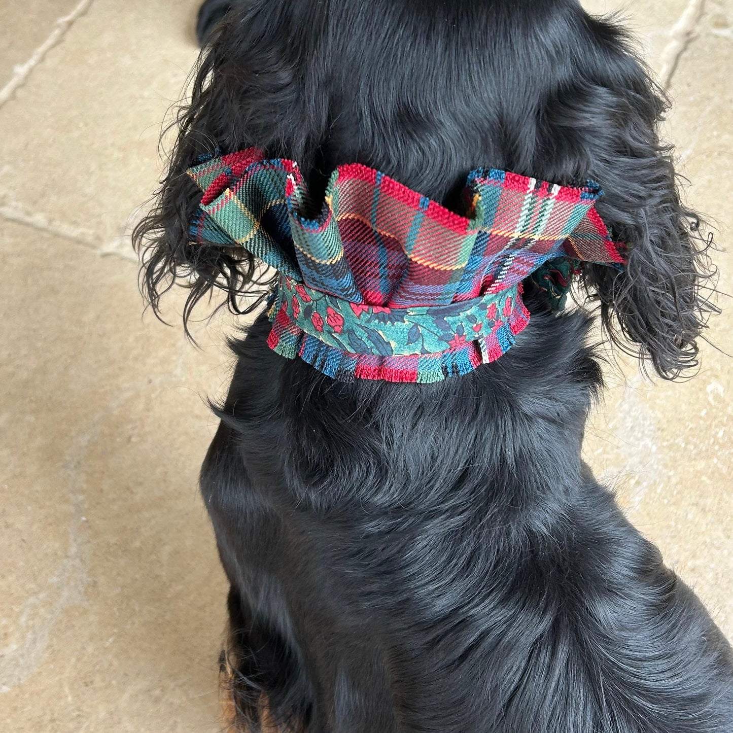 Dog collar - Innes Tartan