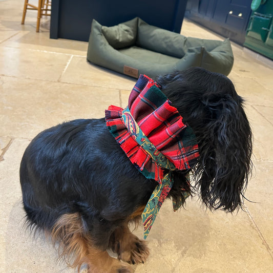 Stewart of Ardshiel Tartan frilly dog collar