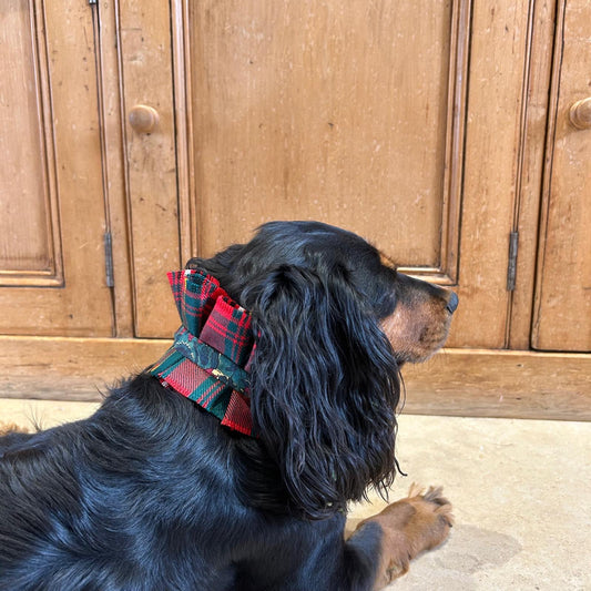 Dog collar - Hay tartan