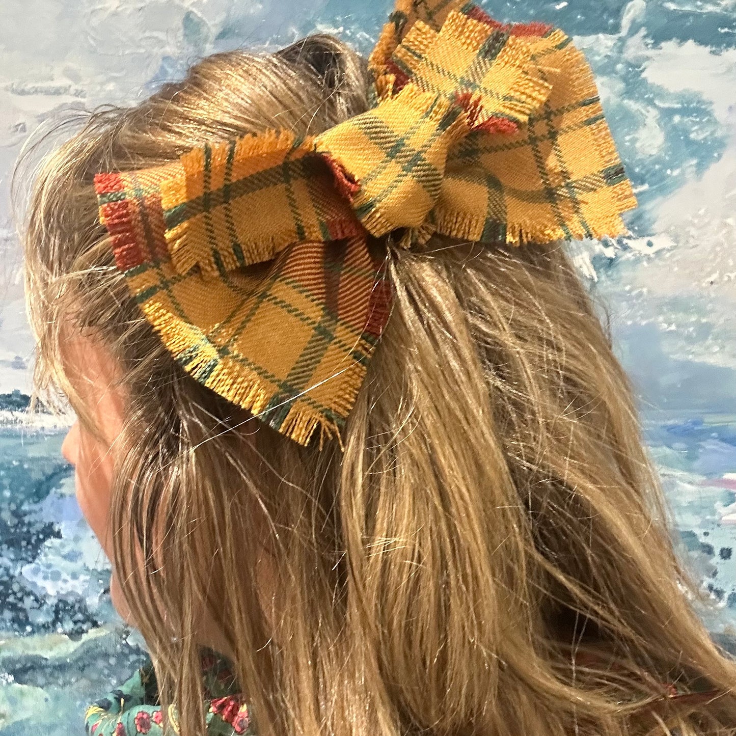 Glen Affric Tartan Hair Clip
