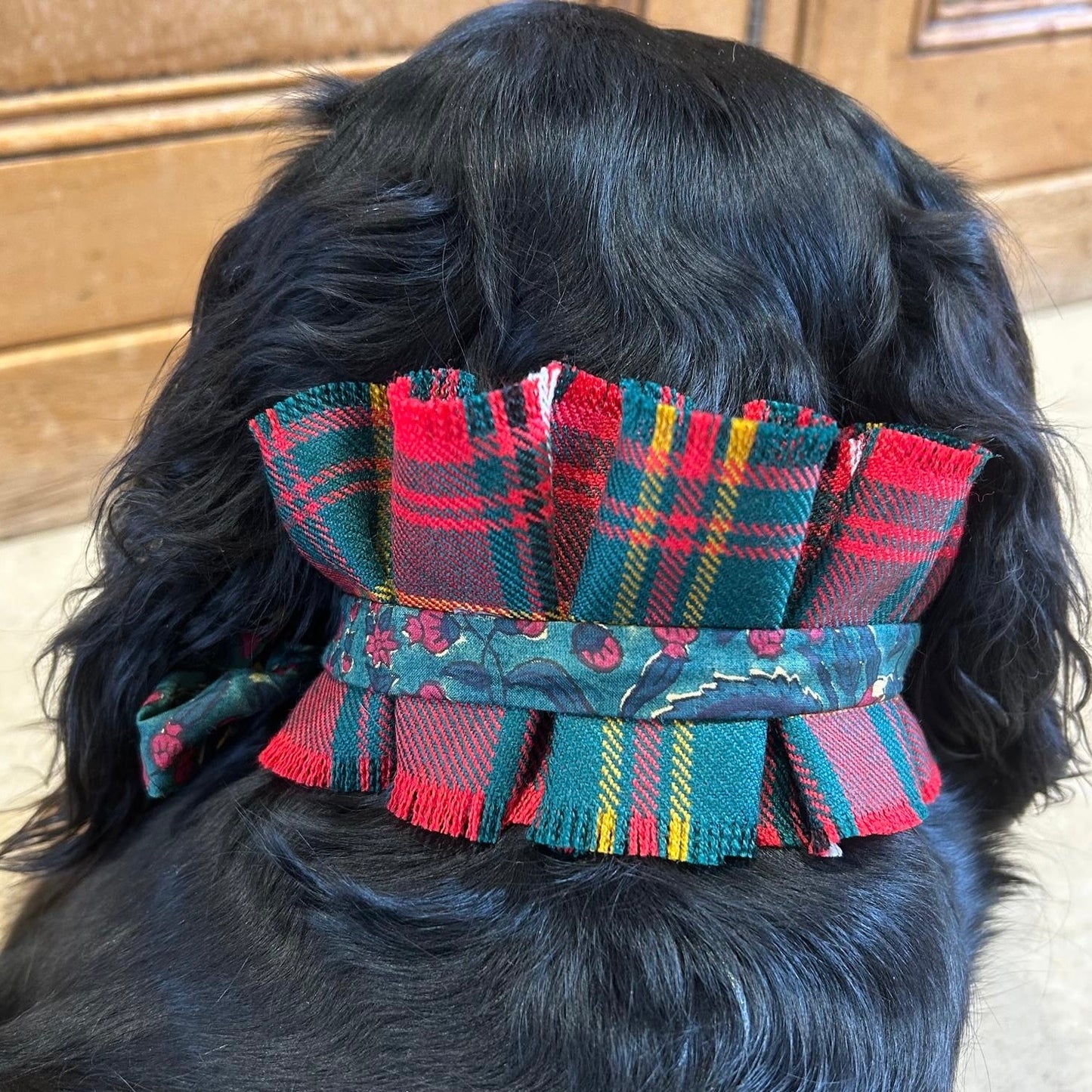 Dog collar - Hay tartan