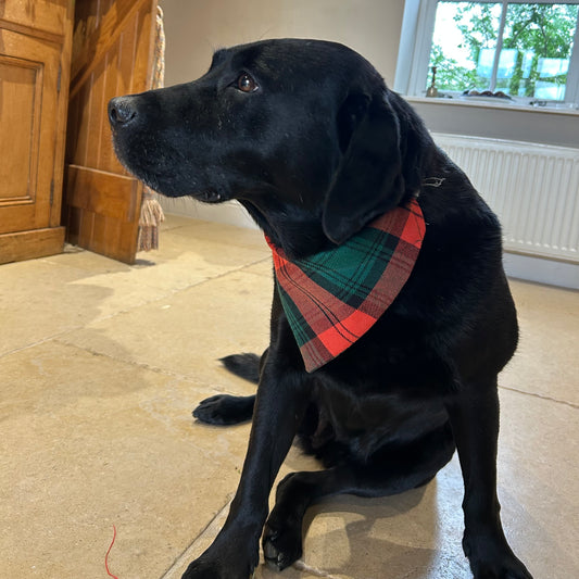 Stewart Atholl Tartan Dog Bandana