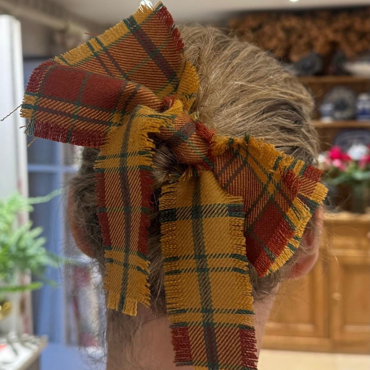 Glen Affric Tartan Hair Clip