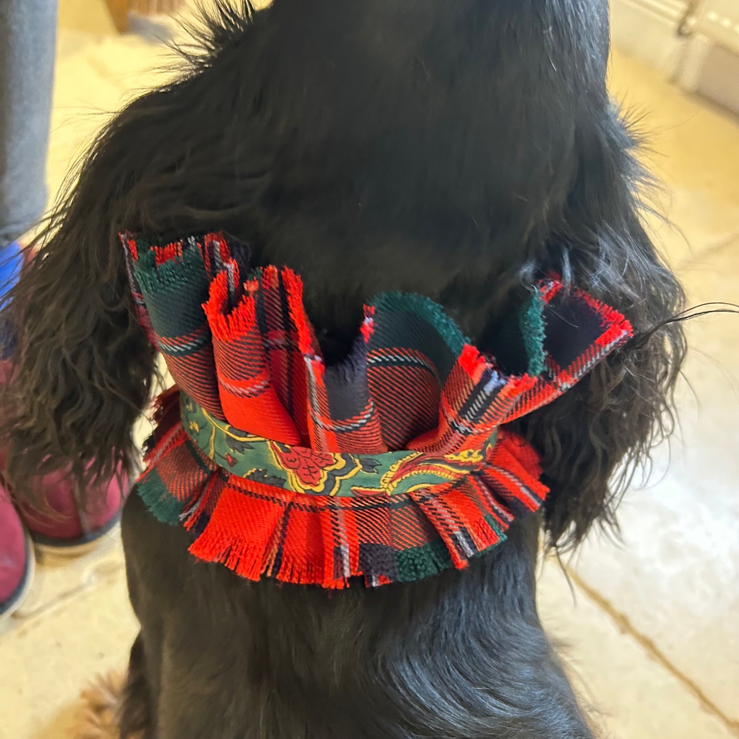 Stewart of Ardshiel Tartan frilly dog collar