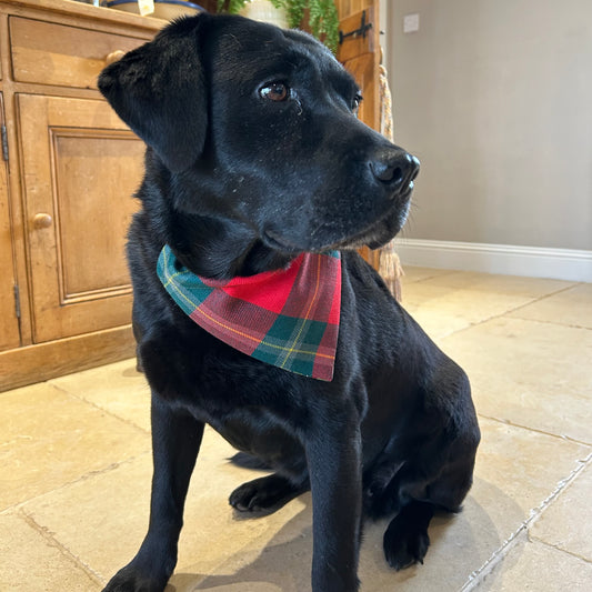 MacLaine Tartan Dog Bandana