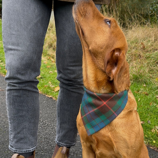 Fraser hunting Dog Bandana