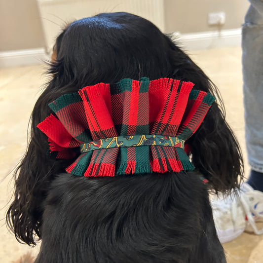 Dog collar - Dunbar tartan