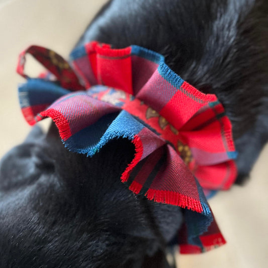 Dog collar - Wotherspoon tartan